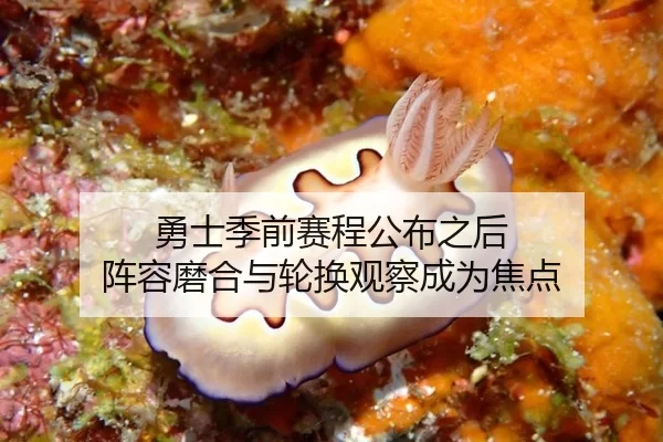 勇士季前赛程公布之后 阵容磨合与轮换观察成为焦点